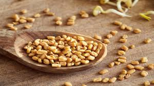 Loose Fenugreek Seeds (میتھی دانہ)