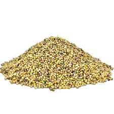 Coriander (دھنیا)